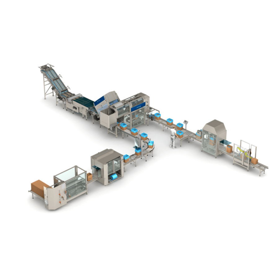 Packaging machines for weighing counting and automatic packaging for frozen bakery products