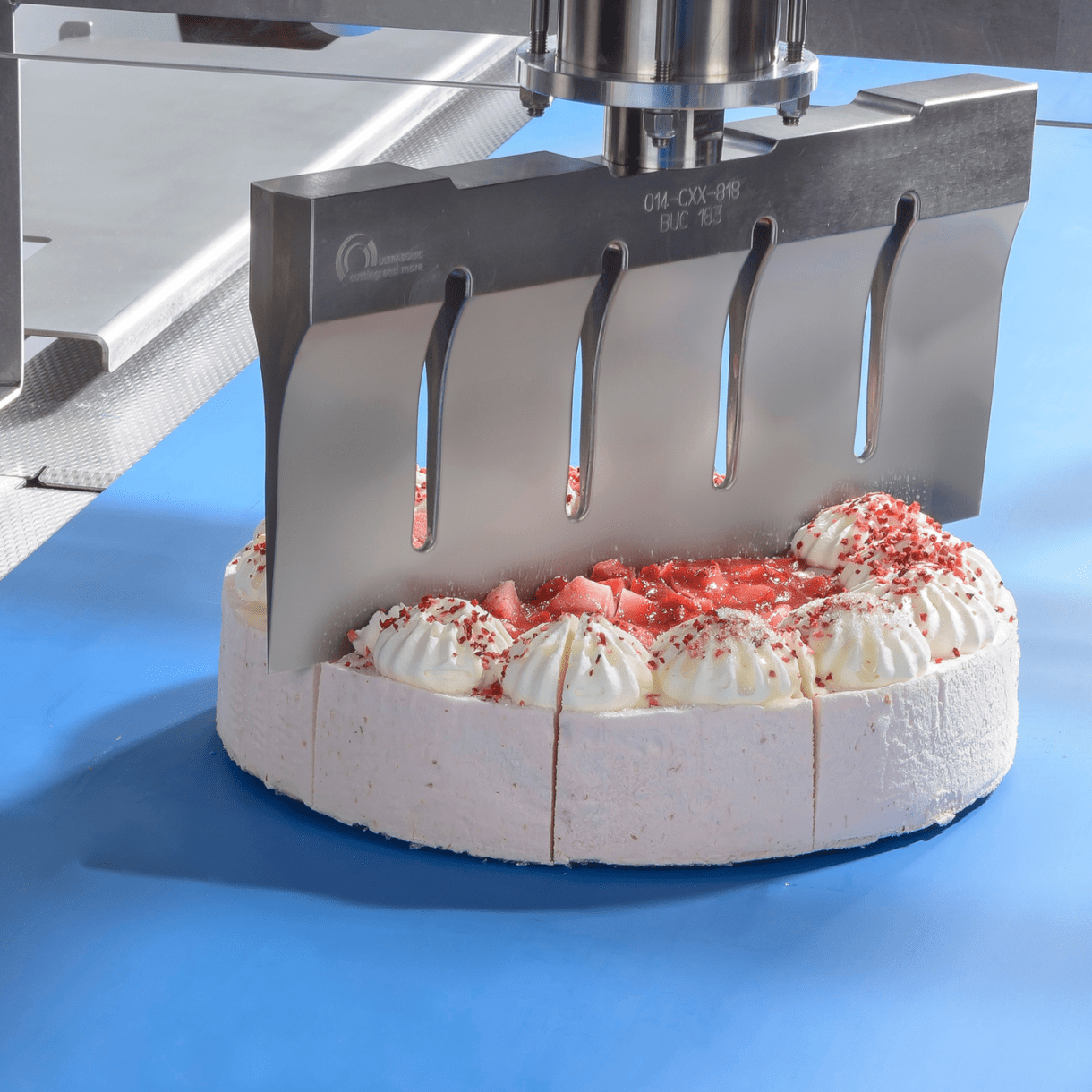 Ultrasonic cutting - Image 3