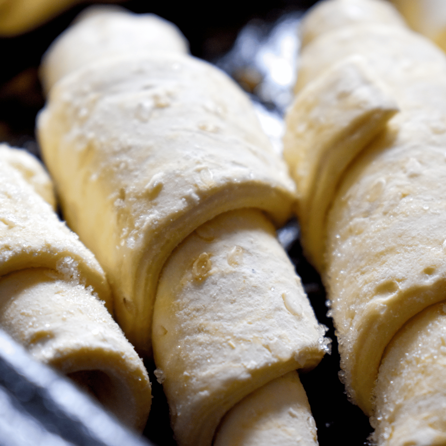 Proper retarder | Panem - Image 3